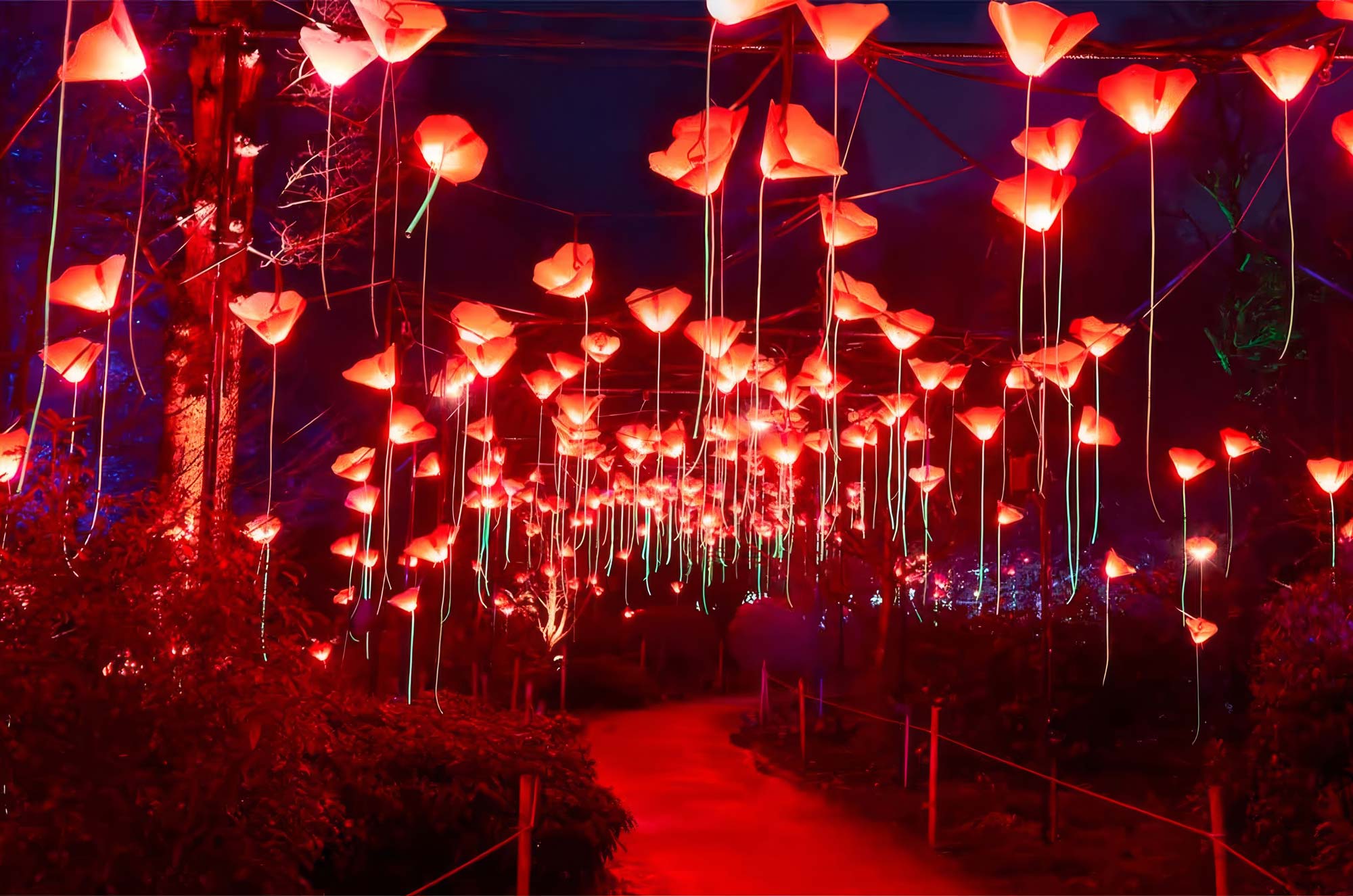 AusDirect Hire Group elevates Brisbane Lightscape at the Botanic Gardens 2023